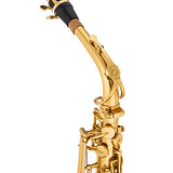 Jean Paul USA AS-400 Student Alto Saxophone