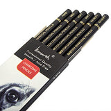 Professional Charcoal Pencils Drawing Set - Brusarth 6 Pieces (Ex-Soft, Soft, Medium, & Hard) Charcoal Pencils for Drawing, Sketching, Shading, Artist Pencils for Beginners & Artists