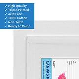 FIXSMITH Canvas Panels 14 Pack - 6 x 8 Inch Painting Canvas Panel Boards - 100% Cotton Primed Canvases - Super Value Pack - Artist Canvas Board for Acrylic, Oil & Tempera Painting