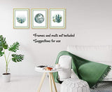 Forest Landscape Art Prints- Nature Wall Decor - Set of 3-8x10 - Unframed