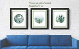 Forest Landscape Art Prints- Nature Wall Decor - Set of 3-8x10 - Unframed