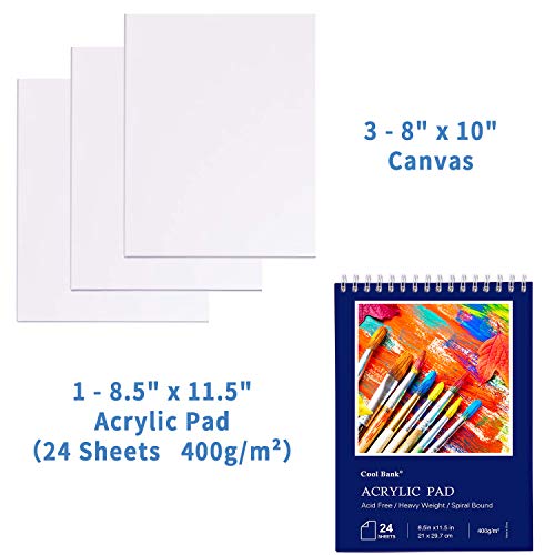 Acrylic Paint Set,46 Piece Professional Painting Supplies with Paint  Brushes