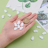 Airssory 30 Pairs Wing Shape Slime Charms Resin Cabochons for DIY Jewelry Making for Children Birthday Party Pretend Play Kitchen Toy Doll House DIY Art Decoration - 19mm