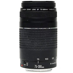 Canon EF 75-300mm f/4-5.6 III Telephoto Zoom Lens for Canon SLR Cameras