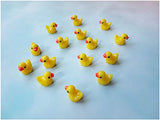 Pack of 36 Tiny Duck Charms Little Duck Resin Beads for Slime Decorations, Dollhouse Miniatures, Crafts Ornaments