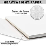 LYTek Acrylic Painting Pad,Heavy Weight 215 lb(350g) Acid Free Paper,Canvas Like Texture.Perfect for Acrylic,Oil & Watercolor Painting.Glue Bond,Size 9"x12"(2 Pack)