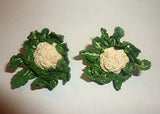 Vegetables and herbs for the garden! Dollhouse miniature 1:12