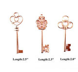 Aokbean Vintage Skeleton keys in Rose Gold Style - Set of 30pcs (Rose Gold)