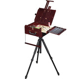 MEEDEN Artist Plein Air Easel,Pochade Box,Sketch Easel Box w/Compact Aluminum Travel Tripod,Nylon Carry Bag,Portable French Easel with Storage for Outdoor Painting,Tripod Easel Stand for Displaying