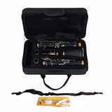 Aileen Lexington CL3041N Bb Flat 17 Key Clarinet with Mouthpiece, Hard Case, Cork Grease, Gloves and Other Kit