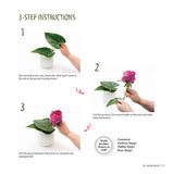 Easy Ikebana: 30 Beautiful Flower Arrangements You Can Make in Three Simple Steps