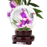 hblife Clear Crystal Ball 4 Inch (100mm) Including Wooden Stand and Gift Package for Family