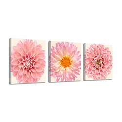 Flower Picture Canvas Wall Art: Chrysanthemum Floral Artwork Pink Gerbera Daisy Paintings Print Set for Walls(16"W x 16"H x 3 PCS)