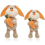 Bunny Rabbit Stuffed Animal, 2 Pack Bunny Plush with Carrot, Huggable & Washable, Cute Stuffed Animal Plush Toys for Girls Boys Kids Friends Birthday Easter Gifts (14 inch+11 inch)