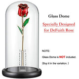 DeFaith 24K Gold Dipped Real Rose, Forever Gifts for Her Anniversary Valentine’s Day Christmas,