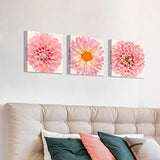 Flower Picture Canvas Wall Art: Chrysanthemum Floral Artwork Pink Gerbera Daisy Paintings Print Set for Walls(16"W x 16"H x 3 PCS)