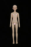 W&HH 1/3 BJD SD Doll,60Cm 24Inch Jointed Dolls Toy,Best Birthday Gifts for Girl Doll Collectors Over 14 Age