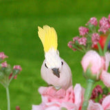 BARMI 1:12 Handmade Feather Parrot Dollhouse Miniature Bird Simulation Model Decor,Perfect DIY Dollhouse Toy Gift Set White