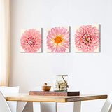 Flower Picture Canvas Wall Art: Chrysanthemum Floral Artwork Pink Gerbera Daisy Paintings Print Set for Walls(16"W x 16"H x 3 PCS)