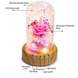 SWEETIME Enchanted Rose Lamp with Bluetooth Speaker, Real Flower LED Night Light, Preserved Pink