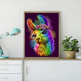 5D Diamond Painting Kits for Adults and Kids, Alpaca Diamond Art DIY Full Drill Cross Stitch Embroidery Craft for Home Wall Decor ( 11.8 x 15.7 in ) (Alpaca 2)