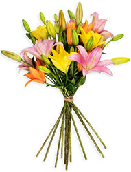 Benchmark Bouquets 12 Stem Assorted Asiatic Lilies, No Vase (Fresh Cut Flowers)
