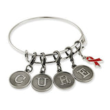 PinMart CURE Burgundy Awareness Ribbon Charm Silver Bangle Bracelet Gift Set