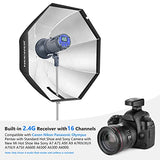 Neewer Vision 4 300W Li-ion Battery Powered Outdoor Studio Flash Strobe (1000 Full Power Flashes with 2.4G System, Trigger Included), Bowens Mount with Softbox Kit for Video Location Photography