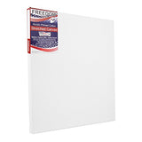 US Art Supply 20 X 20 inch Professional Quality Acid Free Stretched Canvas 6-Pack - 3/4 Profile
