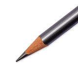 Prismacolor 14420 Ebony Graphite Drawing Pencils, Black,12-Count