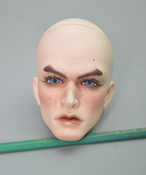 Zgmd 1/3 BJD Doll Ball Jointed Doll Resin Doll Head Custom Made Free Eyes Face Make Up