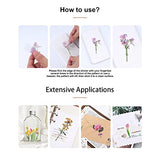 Cute Flower Stickers Set, NOGAMOGA Vintage Clear Floral Decals, Journaling Supplies, Great for Scrapbooking, Bullet Journals, Crafting, Laptop, Resin Art - 240pcs
