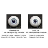 Safety Eyes Acrylic Eyeballs for 1/3 BJD Doll Making & Supplies 1 Pair/Set,C,14mm
