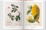 A Garden Eden. Masterpieces of Botanical Illustration.