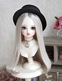 Clicked BJD Doll Centre Parting Long Straight Wig for 1/3 1/4 1/6 Dolls DIY Supplies Doll Making DIY Accessory,D,1/3