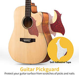 Donner Acoustic Guitar Beginner Adult Full Size 41 Inch Dreadnought Cutaway Acustica Guitarra Bundle Kit for Teen Student with Gig Bag Tuner Capo Pickguard String Truss Rod Strap, Natural Right Hand