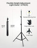 RALENO 2 Packs LED Video Light and 75inches Stand Lighting Kit Include: 3200K-5600K CRI95+ Built-in Battery with 1 Handbag 2 Light Stands for Gaming,Streaming,Youtube,Web Conference,Studio Photography