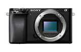 Sony Alpha A6100 Mirrorless Camera