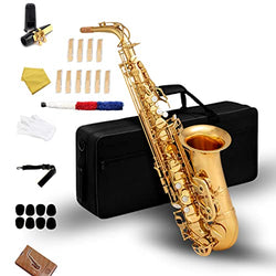 Saxophone,E-flat Brass alto saxophone with suitcase,Full Tenor saxaphone for beginners Students, 10 Alto saxophone reeds, Glove, Strap, Box,Brush, Cleaning cloth, 8 Mouthpiece Cushion Pads