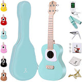 BIGFISH Concert Ukulele 23 inch Professional Wooden ukelele Instrument kit, Travel Ukele with Beginner starter set, including Gig bag, Strap,Tuner,Capo, Cleaning cloth, Pick,Aquila Strings, Stand-(BU)