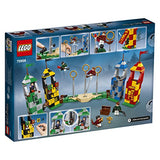 LEGO Harry Potter 75956 Quidditch Match