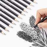 Professional Drawing Sketching Pencil Set - 12 Pieces Drawing Art Pencils (8B - 2H) Graphite Shading Pencils for Beginners & Pro Artists