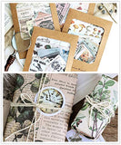 Aesthetic Stickers For Journaling Vintage Scrapbooking DIY Stickers Pack, Retro Anatomy Scrap Book Supplys, Ephemera Paper Vintage Stickers, Collage kit Embellishment, Vision Board Kit Adults Supplies