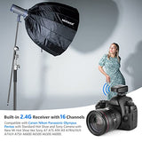 Neewer Vision 4 300W Li-ion Battery Powered (700 Full Power Flashes) Outdoor Studio Flash Strobe with 2.4G System(Trigger Included), German Engineered for Location Shooting, 2 Packs Li-ion Battery