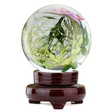 hblife Clear Crystal Ball 4 Inch (100mm) Including Wooden Stand and Gift Package for Family