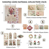 Limmoz Vintage Scrapbooking Stickers Pack, DIY Decorative Nature Flower Retro Collection, Diary Journal Embellishment Supplies, Washi Paper Sticker for Art Craft Notebook Album Invitations Gift Pack