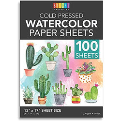 Cold Press Watercolor Paper for Beginner Artists and Students (12 x 17 in, 100 Sheets)