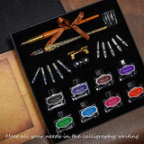 FANGPU Calligraphy Pen Set，Vintage Fountain Wooden Glass Dip Pen Ink Writing Pen with 8 Colors of Ink 10 Types of Replaceable Nibs 2 Pen Holders Exquisite Present for Beginners