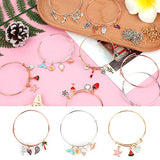 300Pcs Expandable Bangle Bracelets with Charms, Flasoo 20Pcs Bangles for Jewelry Making with 30Pcs Jewelry Charms, 50Pcs Charm Pendants, 200Pcs Jump Rings for DIY Craft