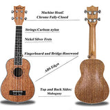 Soprano Ukulele Beginner Pack-21 Inch w/Gig Bag,Strap, Picks,Strings All in One Kit (Brown)